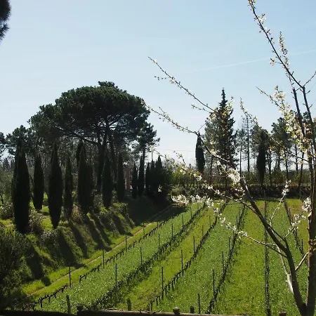 Gli Archi * Fauglia