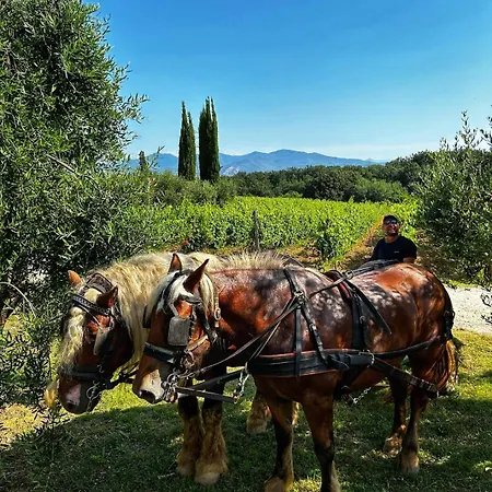 Farm stay Gli Archi *