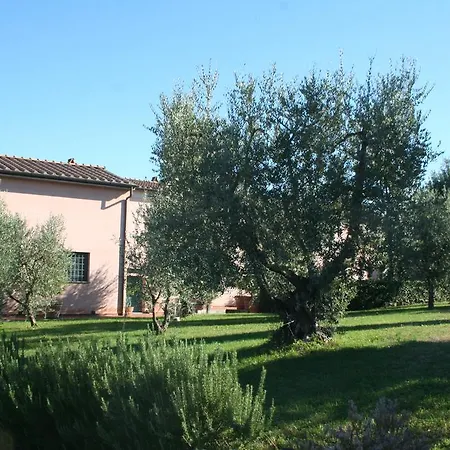 Gli Archi * Fauglia