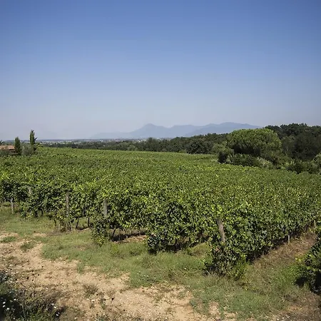 Farm stay Gli Archi