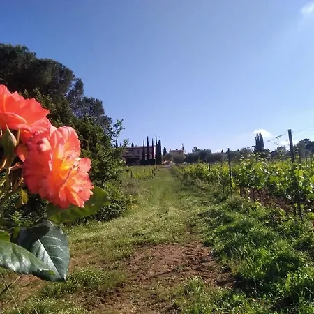 Farm stay Gli Archi *