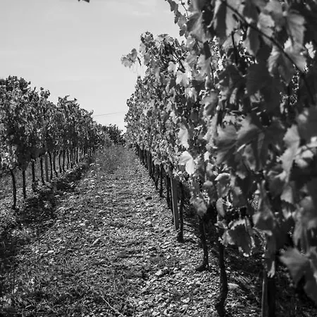 ファームステイ Gli Archi