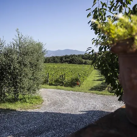 Gli Archi ファームステイ *