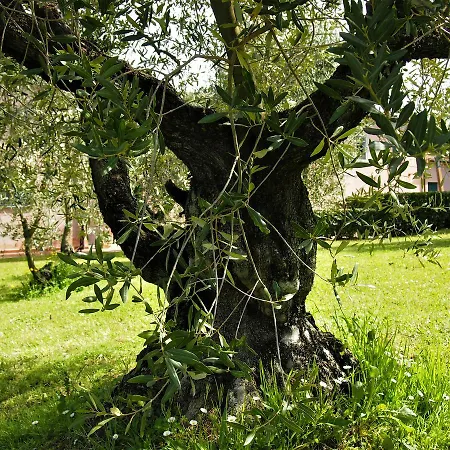 Gli Archi ファームステイ *