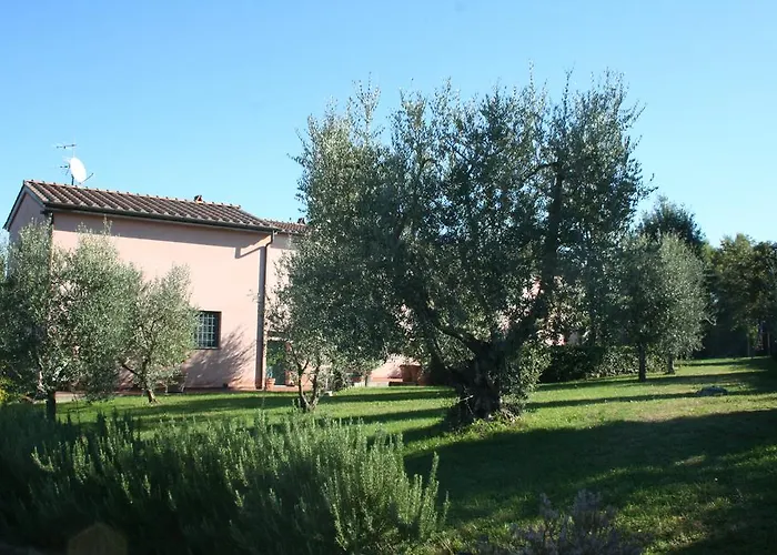 Gli Archi * Fauglia