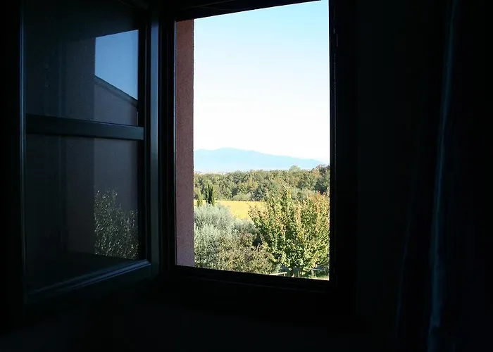 Gli Archi * Fauglia