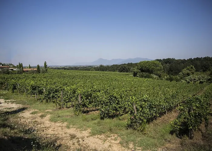 ファームステイ Gli Archi